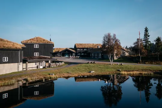 Danebu 01