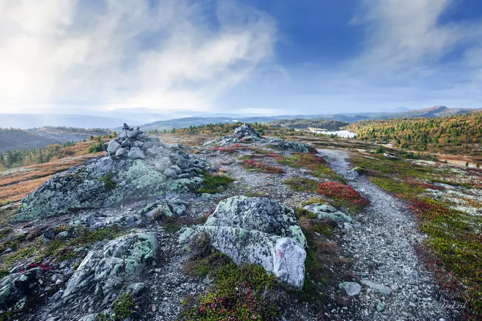 Høst