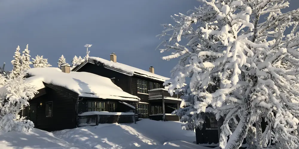 2019 Promo Mountain Park 046