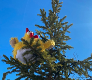 Påskeeggjakt I Fjellparkstua.38.34