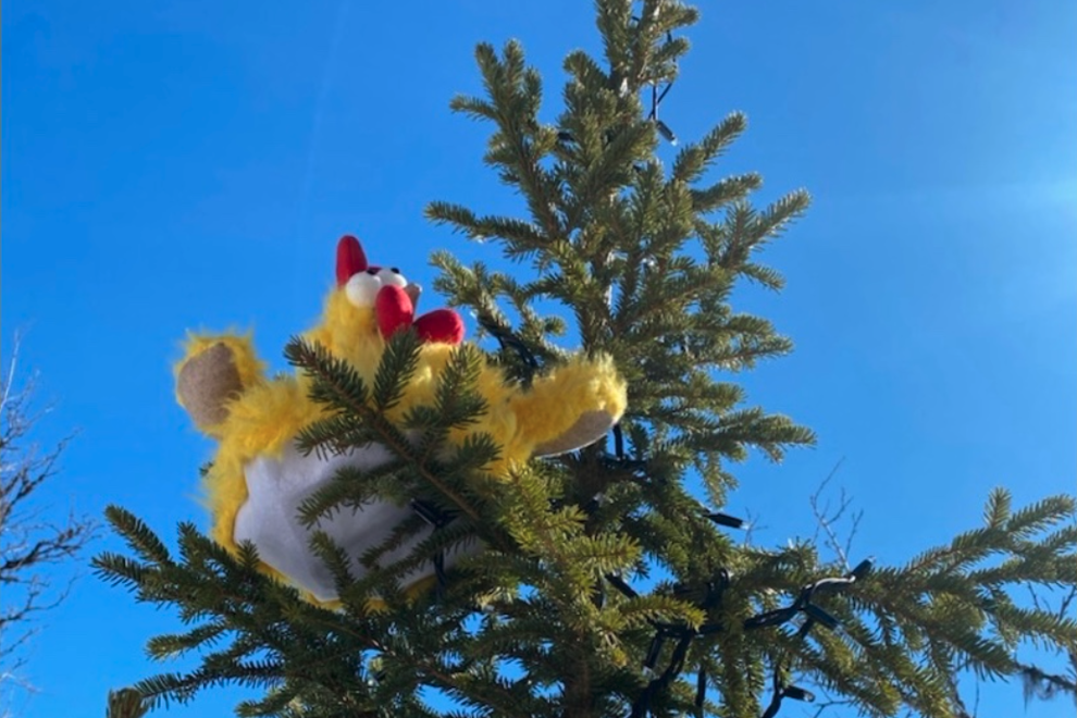 Påskeeggjakt I Fjellparkstua.38.34