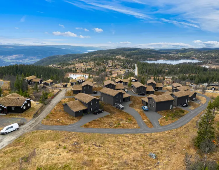 Mymtjr1rplzbxkdttyuy