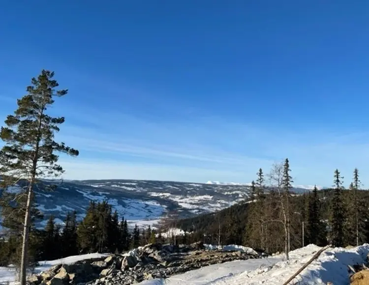 Tomtekompaniet 02