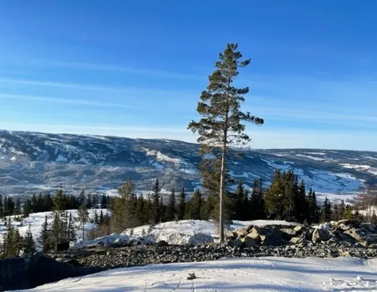 Tomtekompaniet 04