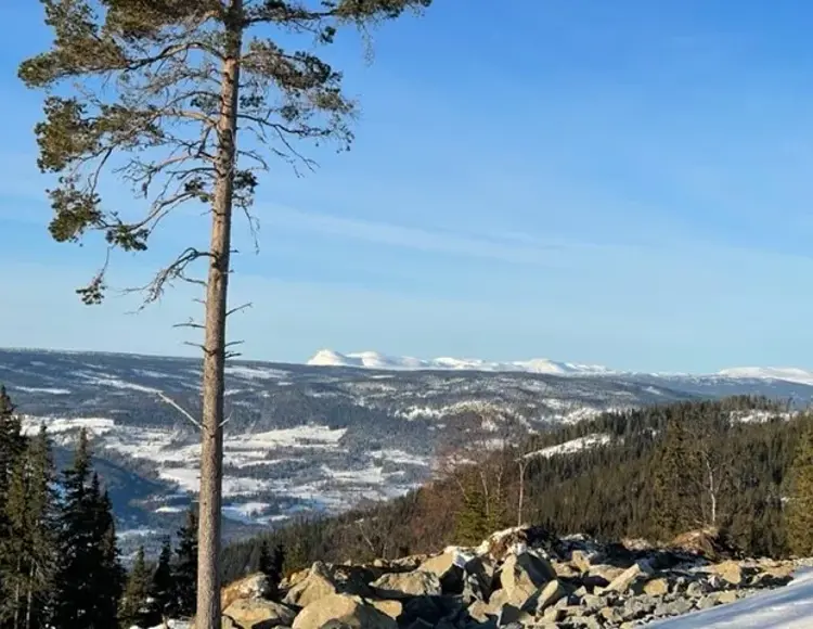 Tomtekompaniet 02