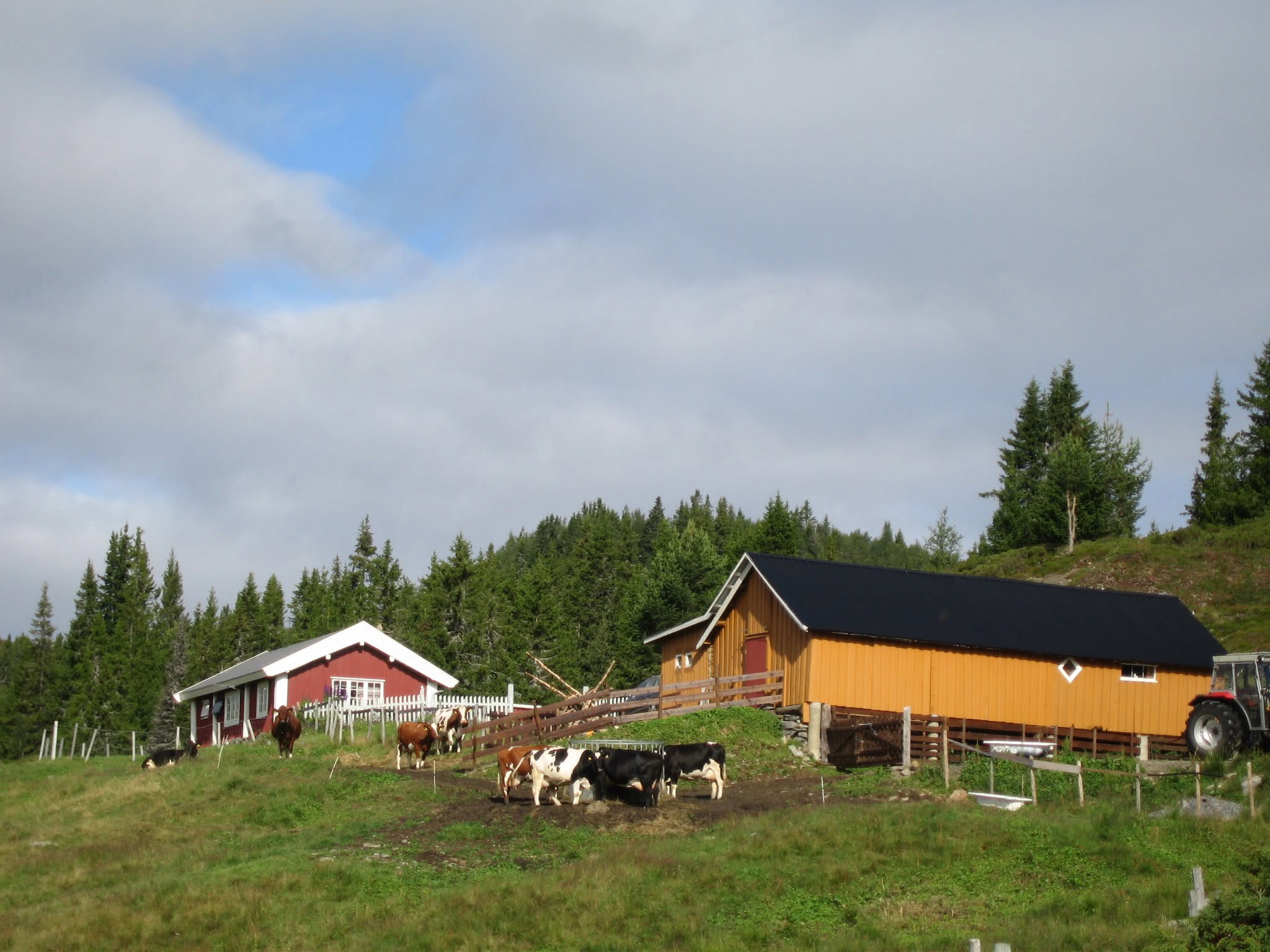 Stølsvandring 01