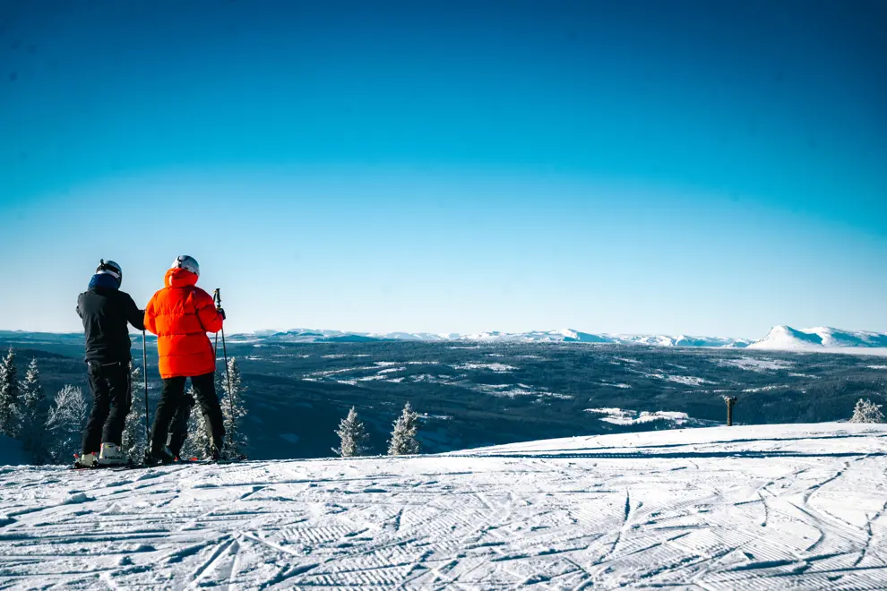 Toppen Av Bakken Fjell Bak