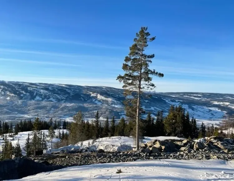 Tomtekompaniet 03